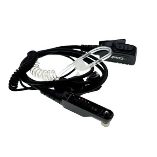 Types of Earpieces